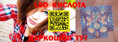 mdpv Новодвинск