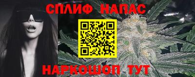 mdpv Новодвинск