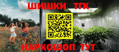молекула духа Новозыбков