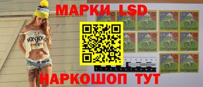 mdpv Новодвинск